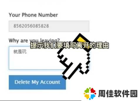 纸飞机官方