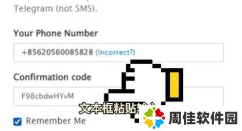 纸飞机官方