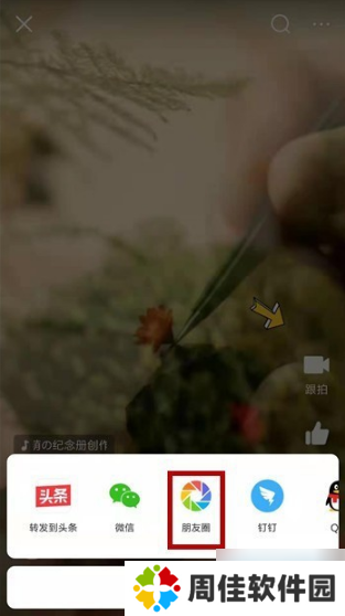 今日头条图片18