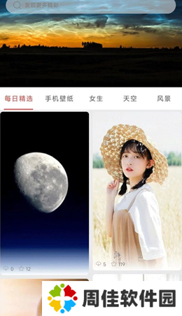 伞果壁纸