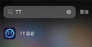 tt语音官方正版如何说话1
