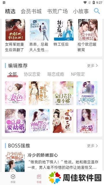 连情小说