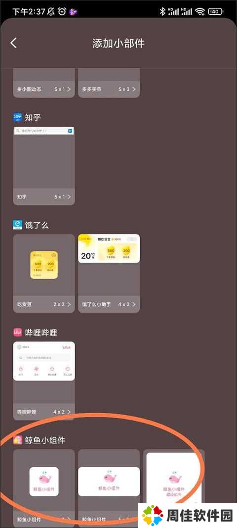 鲸鱼小组件官方最新版本