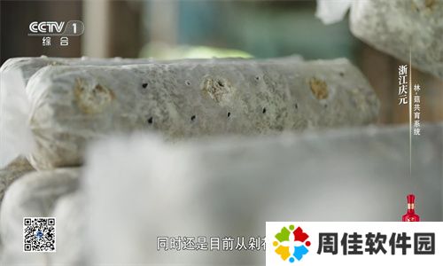 星火电视直播