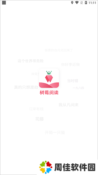 树莓小说阅读器