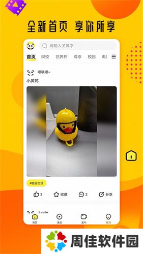 菠萝影视