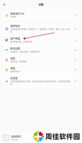 椒盐音乐软件使用方法