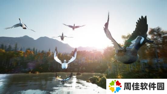 极乐软件园