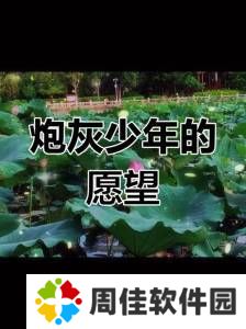 清冷炮灰被疯批爆炒了，究竟是怎样的逆袭让他焕发新生？