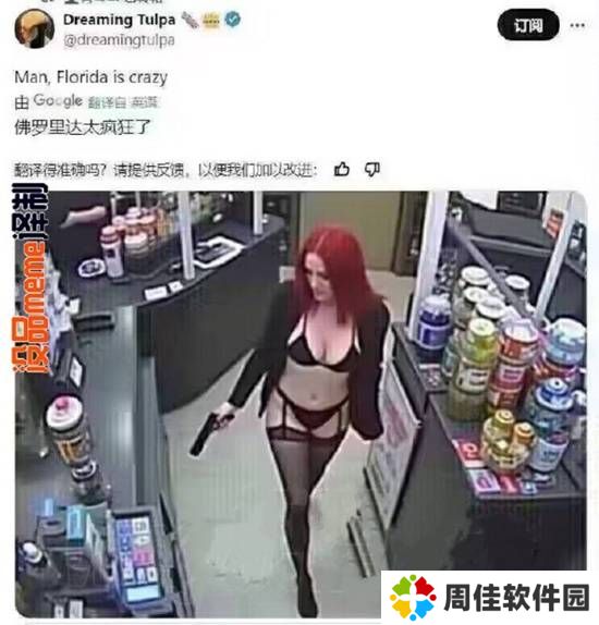 极乐软件园